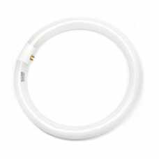 Lâmpada circular 32w - Cód: 2720 - Marca: Golden Plus